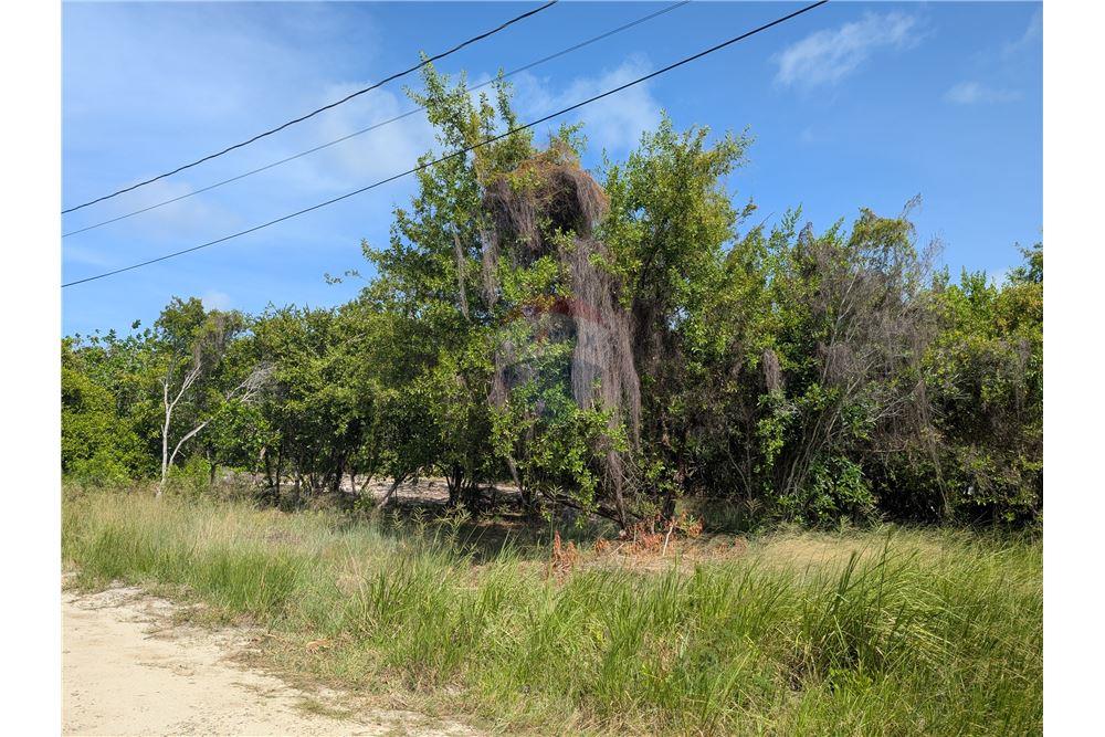 Commercial - Land - Maya Beach, Stann Creek District, Belize - Caribbean & Central Ameri - 2 - 90127016-282