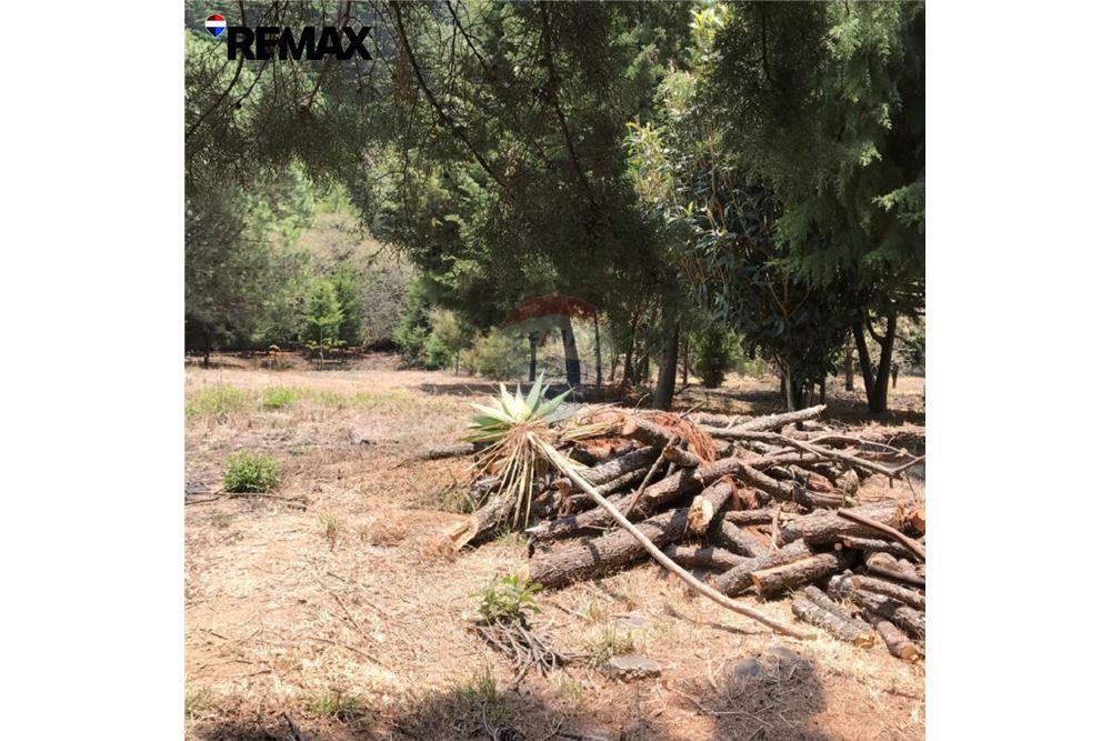 Land - For Sale - Santa Catarina Pinula, Guatemala, Guatemala - 4 - 902611001-88