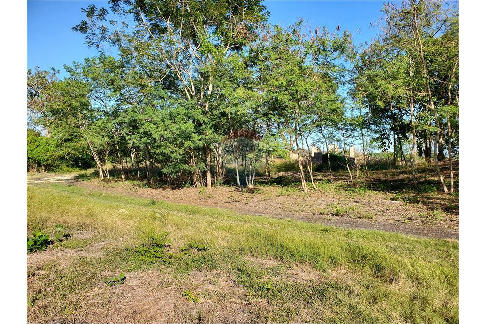 Commercio - Terreno - Ranchito, Corozal District, Belize - Caribbean & Central Ameri - 9 - 901411007-89