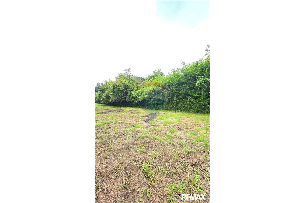 Commercial - Land - Jaco - Playa Hermosa, Puntarenas- Garabito, Costa Rica - Caribbean & Central Ameri - 21 - 90168005-700