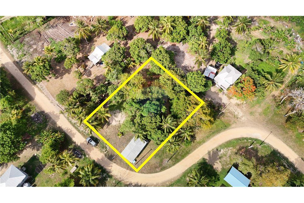 Lote - Venta - Riversdale, Stann Creek District, Belice - 2 - 901911003-394