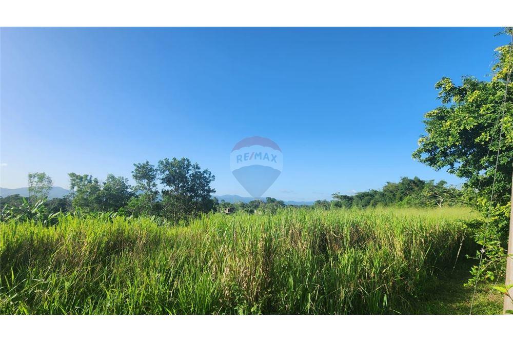 Land - For Sale - Las Lomas, Caroni, Trinidad and Tobago - 5 - 902551007-7