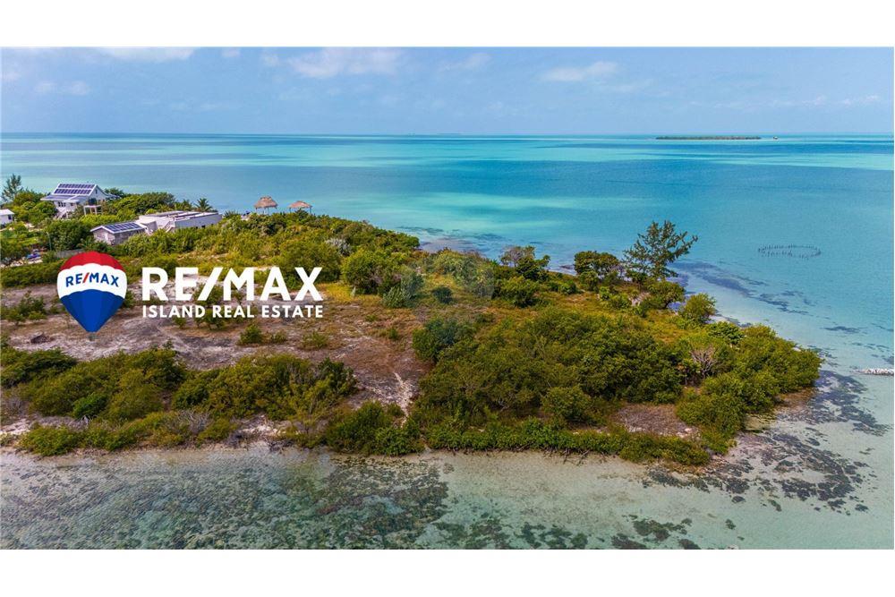 Commercial - Land - Ambergris Caye, Ambergris Caye, Belize - Caribbean & Central Ameri - 3 - 90135004-90