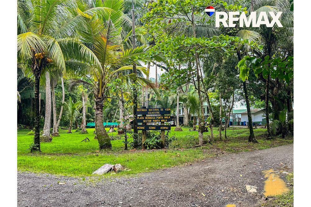 Comercial - Terreno - Parrita - Esterillos, Puntarenas - Parrita, Costa Rica - Caribbean & Central Ameri - 13 - 90168003-465