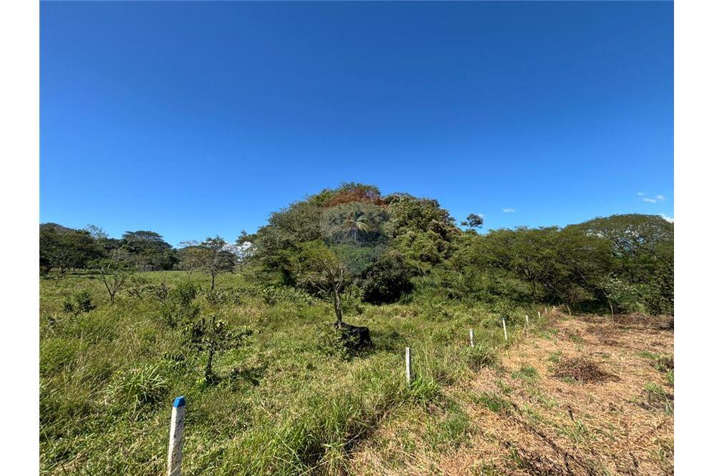Comercial - Terreno - Atenas, Alajuela- Atenas, Costa Rica - Caribbean & Central Ameri - 24 - 90128002-998