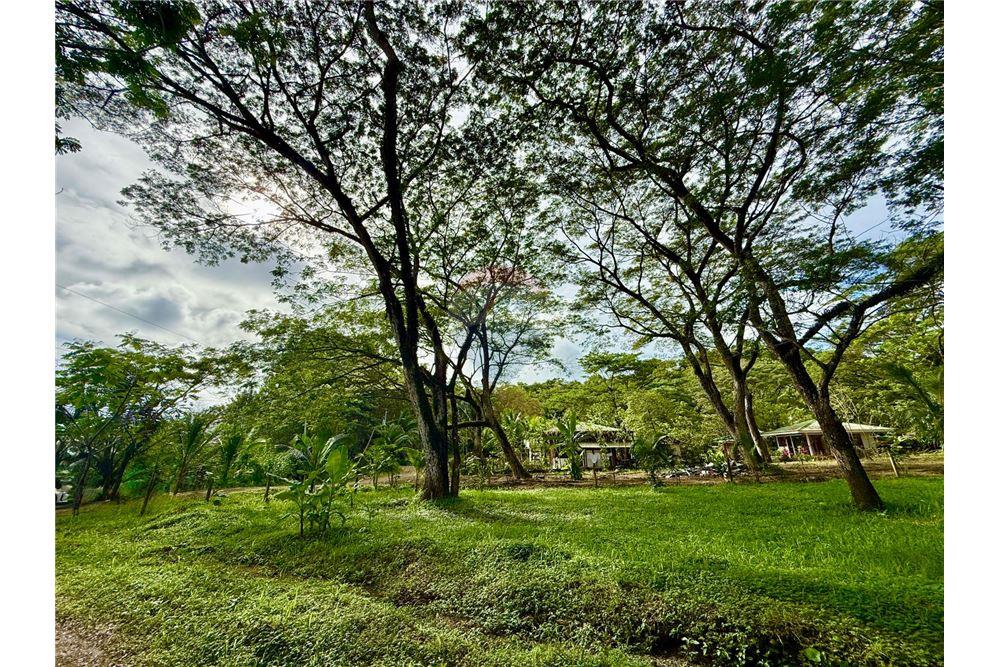 Commercial - Land - Jaco - Jaco, Puntarenas- Garabito, Costa Rica - Caribbean & Central Ameri - 4 - 90168015-205