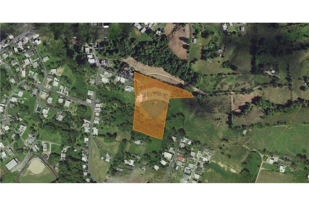 Villa - Venta - Las Piedras, Las Piedras, Puerto Rico - 9 - 90102054-18