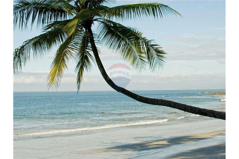 Commercial - Land - Tarcoles - Punta Leona, Puntarenas- Garabito, Costa Rica - Caribbean & Central Ameri - 4 - 90168035-18