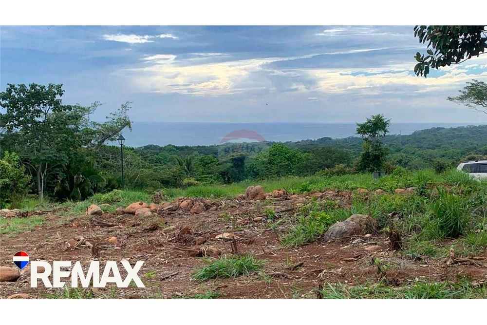 商业 - 土地 - Parrita - Esterillos, Puntarenas - Parrita, 哥斯达黎加 - Caribbean & Central Ameri - 1 - 90168013-172