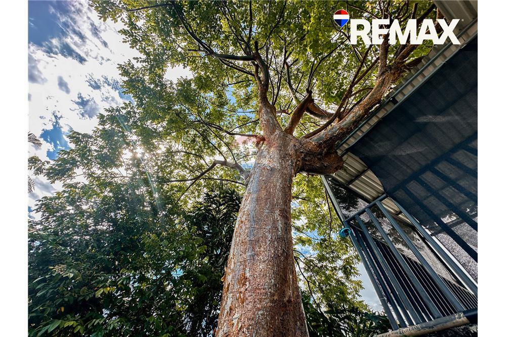 住宅 - 别墅 - Jaco - Jaco, Puntarenas- Garabito, 哥斯达黎加 - Caribbean & Central Ameri - 22 - 90168050-30