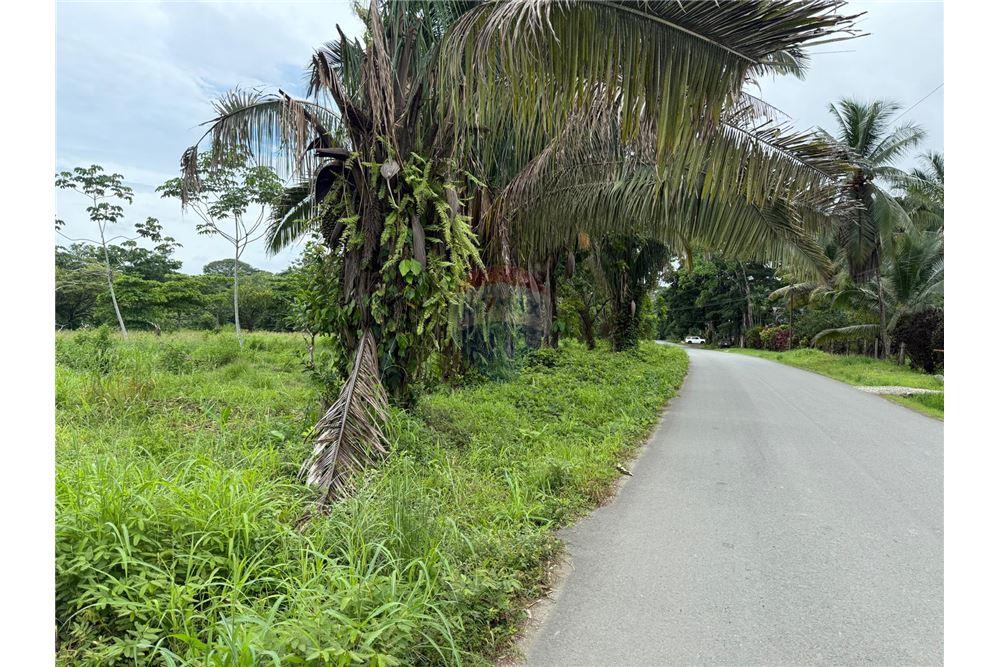 Commercio - Terreno - Puntarenas, Puntarenas - Puntarenas, Costa Rica - Caribbean & Central Ameri - 6 - 90168026-85