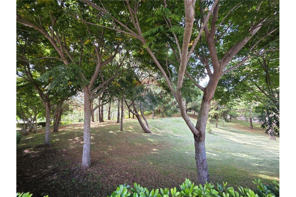 Condo/Apartment - For Sale - Guatemala City, Guatemala, Guatemala - 17 - 901491001-2