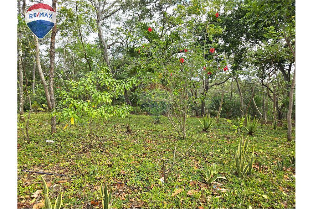 Commercial - Land - Nandaime, Granada, Nicaragua - Caribbean & Central Ameri - 14 - 90119010-73