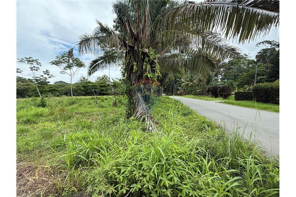 Commercio - Terreno - Puntarenas, Puntarenas - Puntarenas, Costa Rica - Caribbean & Central Ameri - 2 - 90168026-85