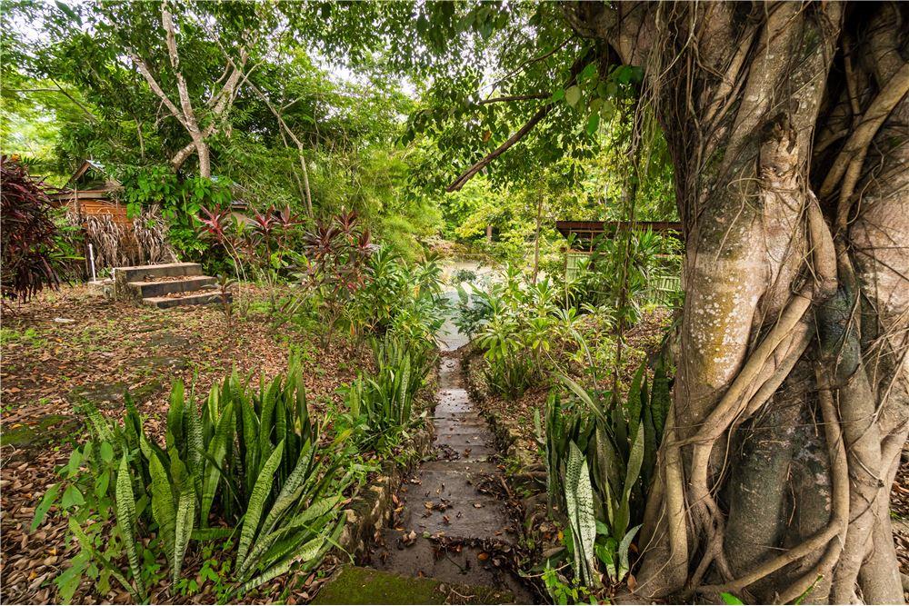 Residential - Villa - Bullet Tree Falls, Cayo District, Belize - Caribbean & Central Ameri - 14 - 90127003-300