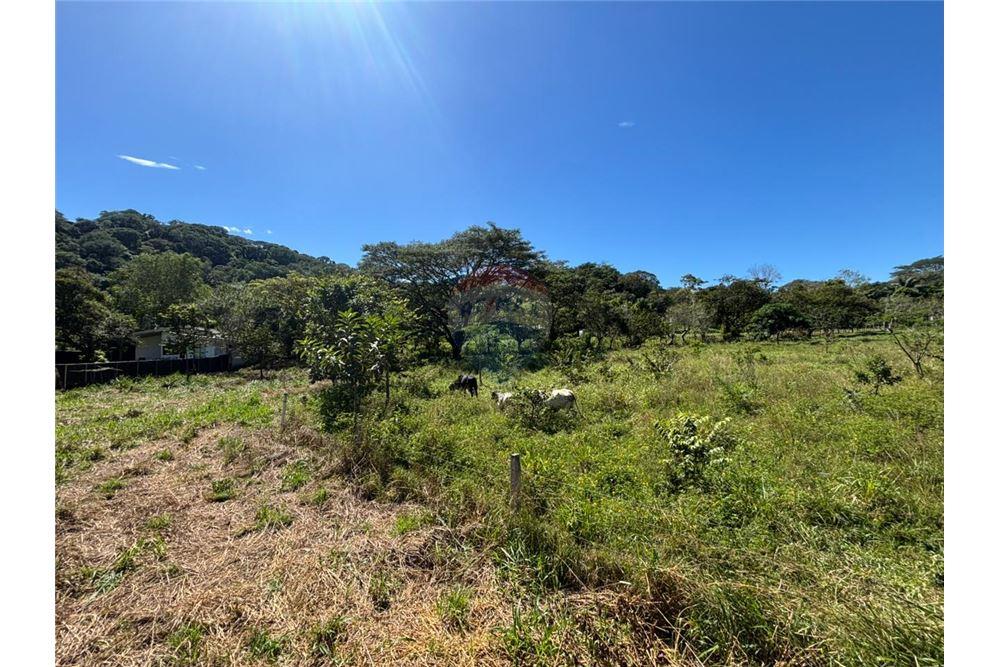 Comercial - Terreno - Atenas, Alajuela- Atenas, Costa Rica - Caribbean & Central Ameri - 23 - 90128002-998
