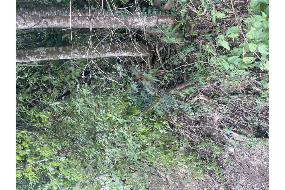 Lote - Venta - Gros Islet, Gros-Islet, St Lucia - 4 - 902071001-213