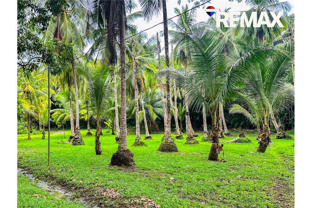 商业 - 土地 - Parrita - Esterillos, Puntarenas - Parrita, 哥斯达黎加 - Caribbean & Central Ameri - 11 - 90168050-8