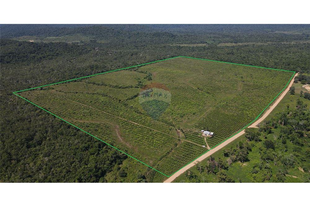 Venta de Negocio - Venta - Silk Grass, Stann Creek District, Belice - 1 - 901911013-62