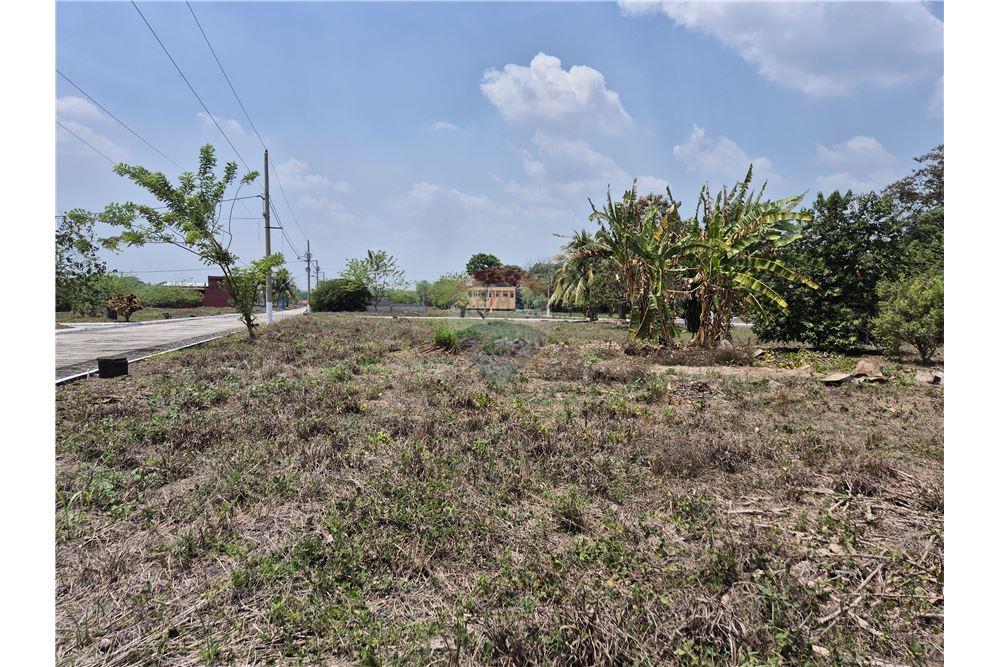 Land - For Sale - Rio Bravo, Suchitepéquez, Guatemala - 7 - 902641001-1