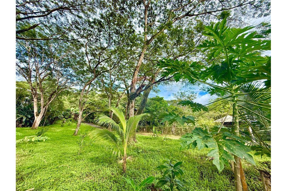 Comercial - Terreno - Jaco - Jaco, Puntarenas- Garabito, Costa Rica - Caribbean & Central Ameri - 8 - 90168015-207