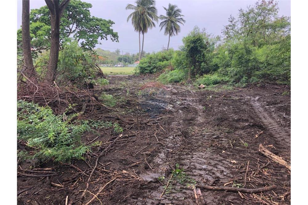 Grondstuk - Te Koop - Arouca, Saint George, Trinidad and Tobago - 7 - 902551005-1