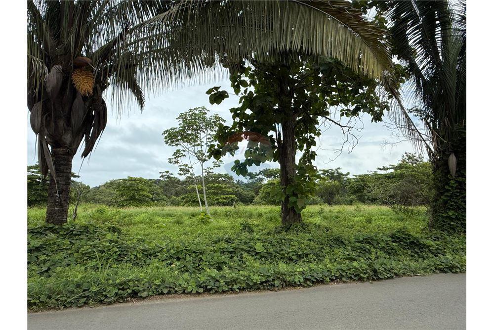 Commercio - Terreno - Puntarenas, Puntarenas - Puntarenas, Costa Rica - Caribbean & Central Ameri - 1 - 90168026-85