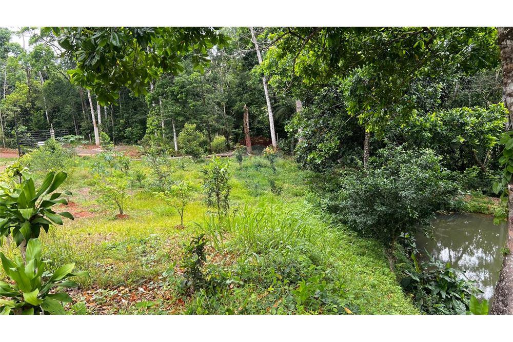 Commercial - Land - Bijagual, Puntarenas, Costa Rica - Caribbean & Central Ameri - 8 - 90168042-14