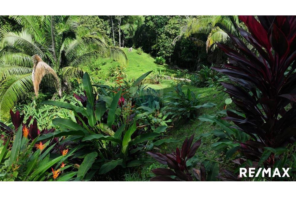 Comercial - Terreno - Parrita, Puntarenas - Parrita, Costa Rica - Caribbean & Central Ameri - 14 - 90168045-21