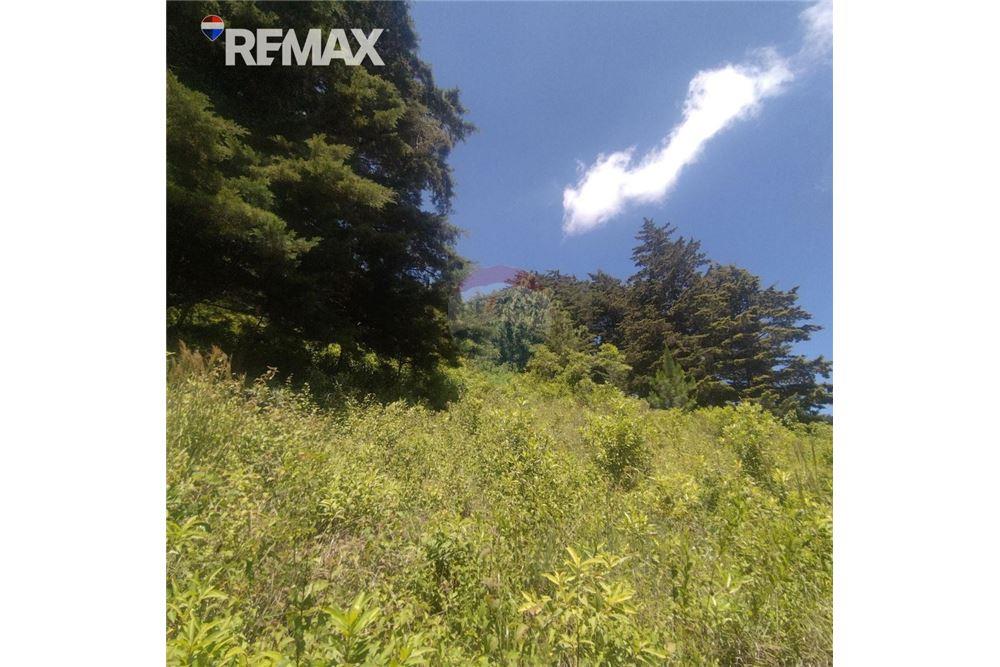 Lote - Venta - San José Pinula, Guatemala, Guatemala - 1 - 902611006-17