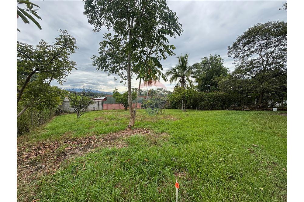 商业 - 土地 - Atenas, Alajuela- Atenas, 哥斯达黎加 - Caribbean & Central Ameri - 4 - 90128002-986