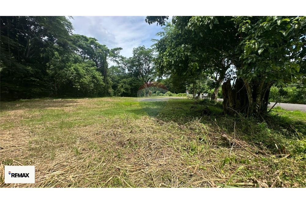 Commercio - Terreno - Puntarenas, Puntarenas - Puntarenas, Costa Rica - Caribbean & Central Ameri - 17 - 90168030-53