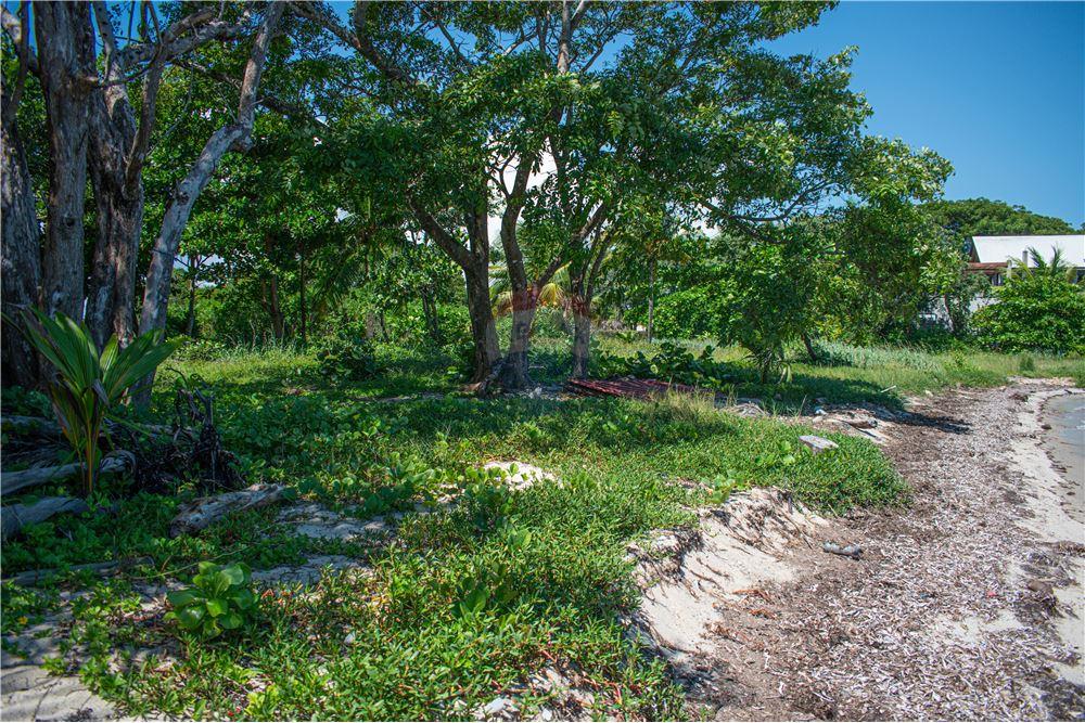 Comercial - Terreno - Placencia, Stann Creek District, Belice - Caribbean & Central Ameri - 13 - 90127003-302