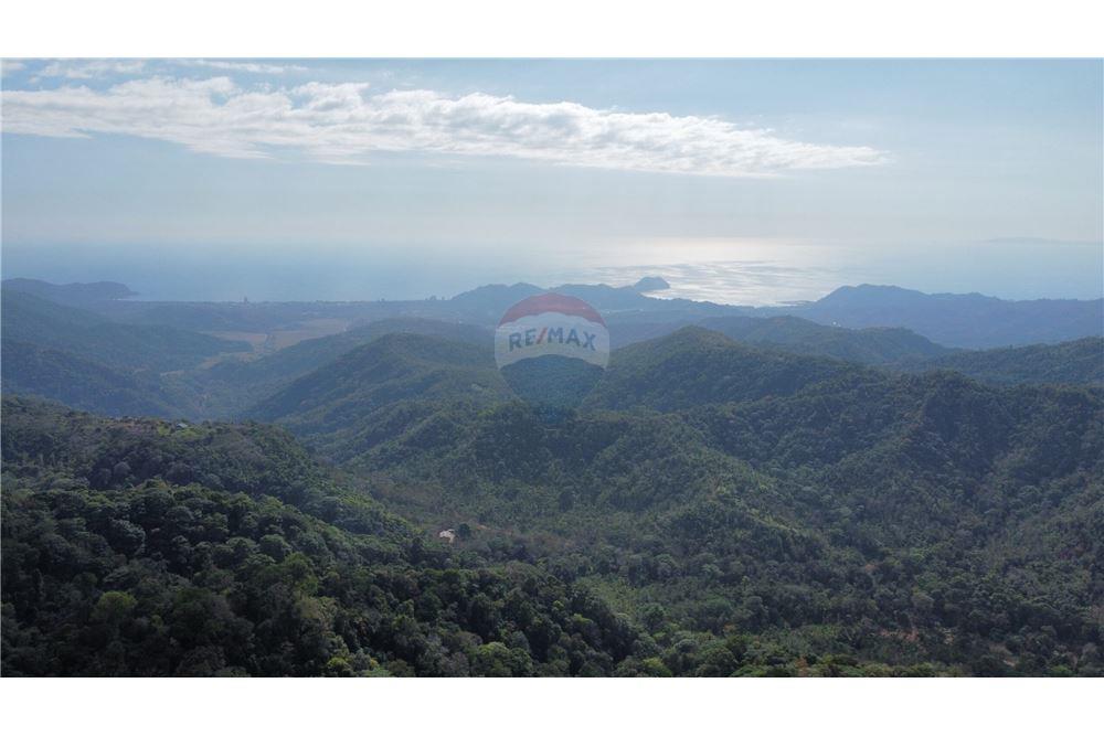 Surface commerciale - Autre terrain - San José, San José, Costa Rica - Caribbean & Central Ameri - 11 - 90168030-68