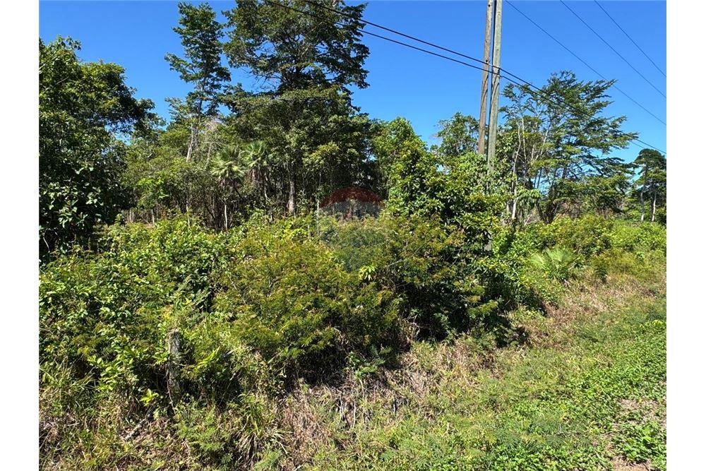Comercial - Terreno - Hopkins, Stann Creek District, Belice - Caribbean & Central Ameri - 8 - 90127003-307