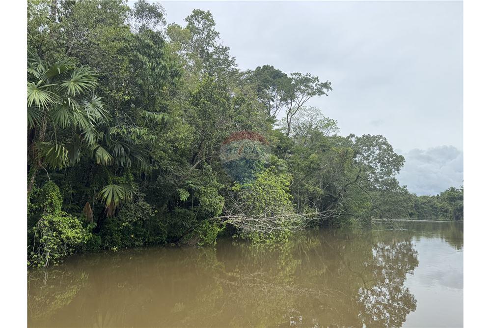 Commercial - Land - Punta Gorda, Toledo District, Belize - Caribbean & Central Ameri - 1 - 90127003-294