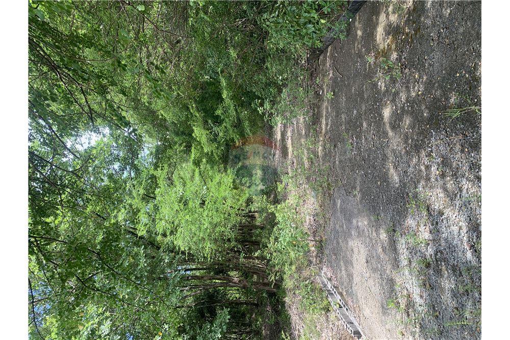 Commercial - Land - Gros Islet, Gros-Islet, St Lucia - Caribbean & Central Ameri - 5 - 902071001-212