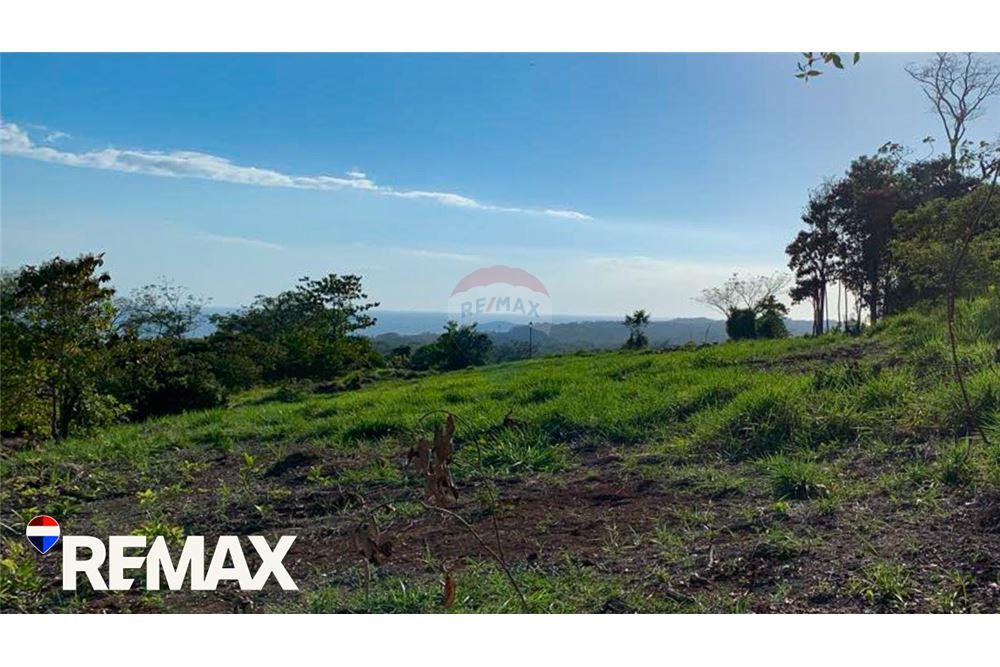 商业 - 土地 - Parrita - Esterillos, Puntarenas - Parrita, 哥斯达黎加 - Caribbean & Central Ameri - 7 - 90168013-172