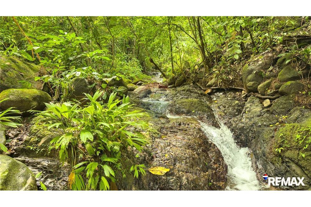 Comercial - Terreno - Parrita, Puntarenas - Parrita, Costa Rica - Caribbean & Central Ameri - 12 - 90168003-467