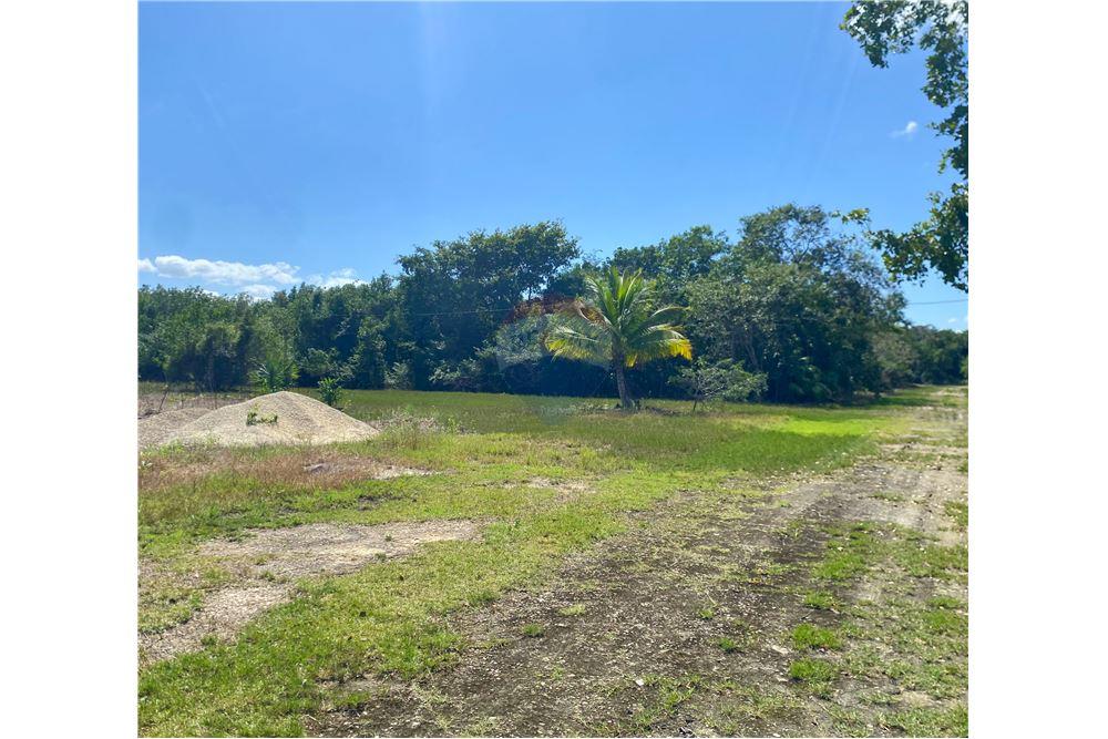 Surface commerciale - Autre terrain - Consejo, Corozal District, Belize - Caribbean & Central Ameri - 6 - 901411007-87