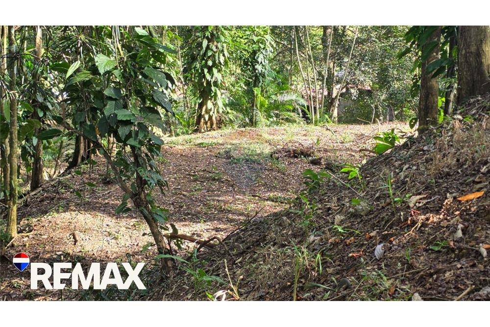 Commercio - Commerciale/Negozi - Jaco - Herradura, Puntarenas- Garabito, Costa Rica - Caribbean & Central Ameri - 11 - 90168013-183