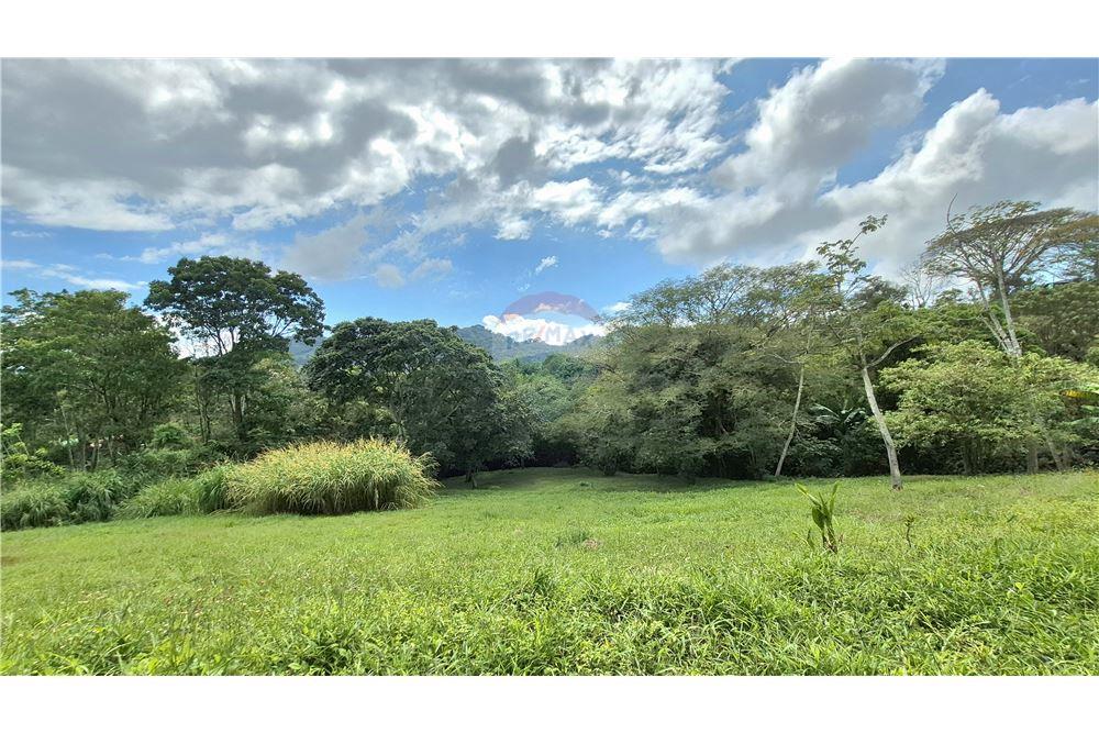 Comercial - Terreno - Atenas, Alajuela- Atenas, Costa Rica - Caribbean & Central Ameri - 5 - 90128007-195