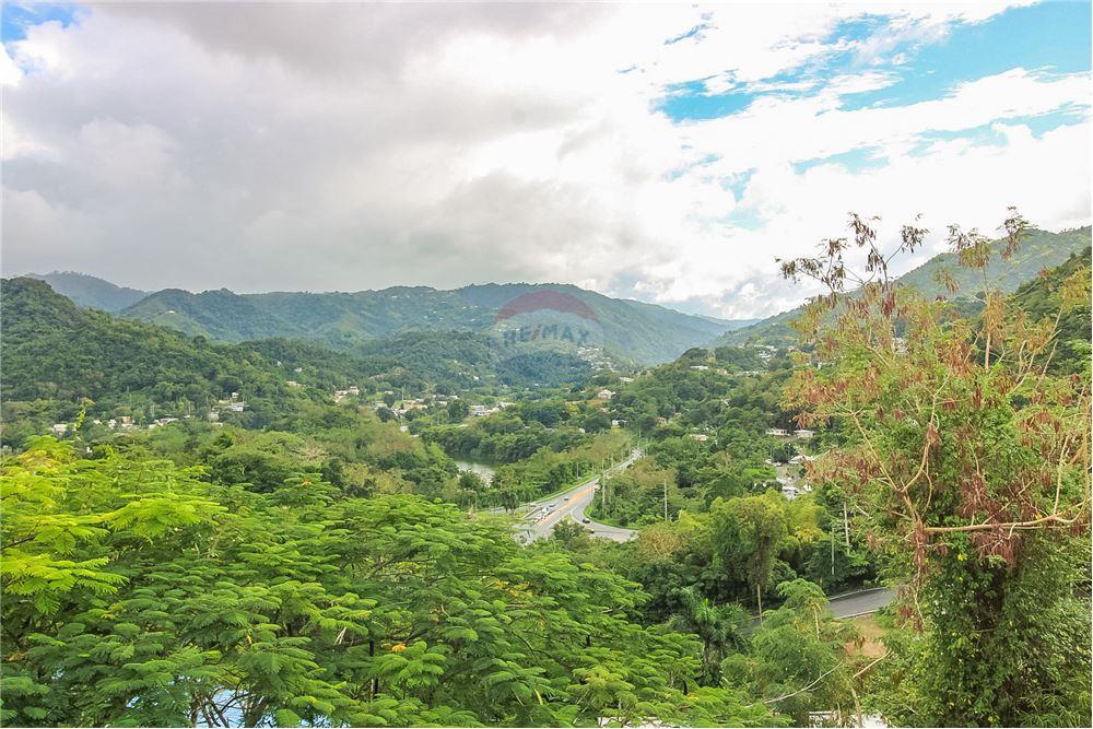 Residential - Villa - Naranjito, Naranjito, Puerto Rico - Caribbean & Central Ameri - 22 - 902461001-93