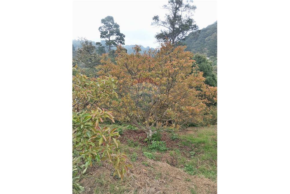 Lote - Venta - Santiago Sacatepéquez, Sacatepéquez, Guatemala - 4 - 902091002-88