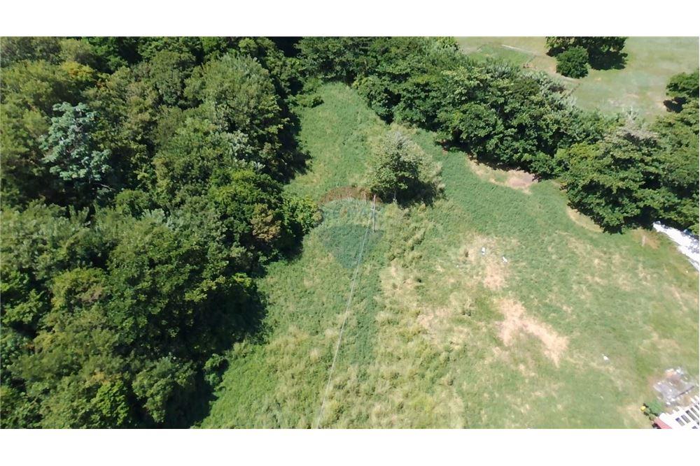 Commercial - Land - Prospect, St Vincent, St Vincent and the Grenadines - Caribbean & Central Ameri - 1 - 90109004-61