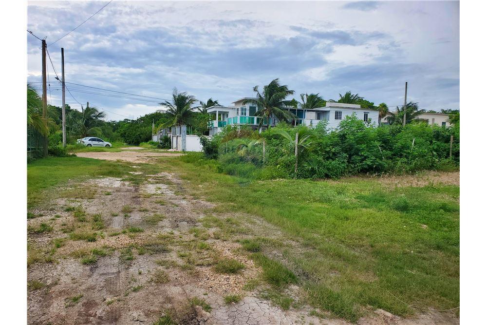 Commercial - Land - Corozal Town, Corozal District, Belize - Caribbean & Central Ameri - 8 - 901411007-97