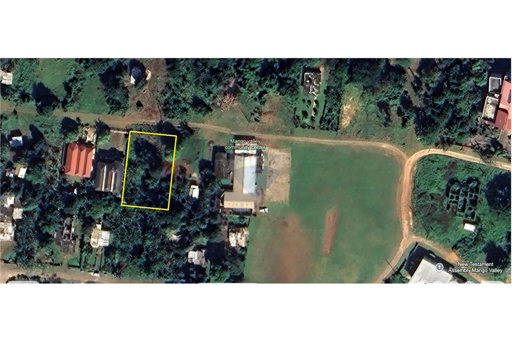 Land - For Sale - Boscobel, Saint Mary, Jamaica - 1 - 90153081-7