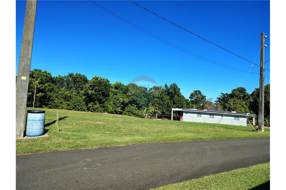 Commercial - Land - Parc Garrochales, Barceloneta, Puerto Rico - Caribbean & Central Ameri - 4 - 902461013-12