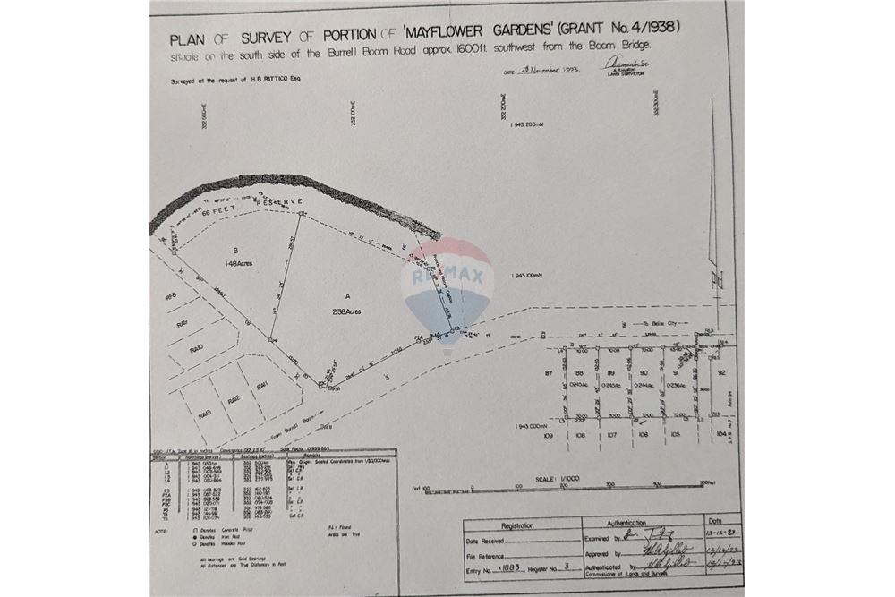 Commercial - Land - Burrell Boom, Belize District, Belize - Caribbean & Central Ameri - 3 - 90127016-272