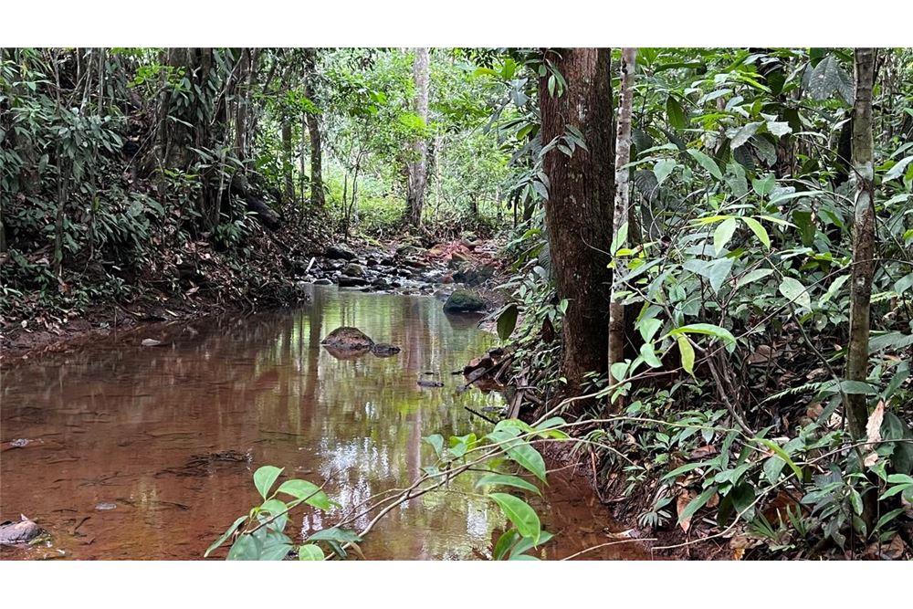 Commercial - Land - Bijagual, Puntarenas, Costa Rica - Caribbean & Central Ameri - 26 - 90168042-14